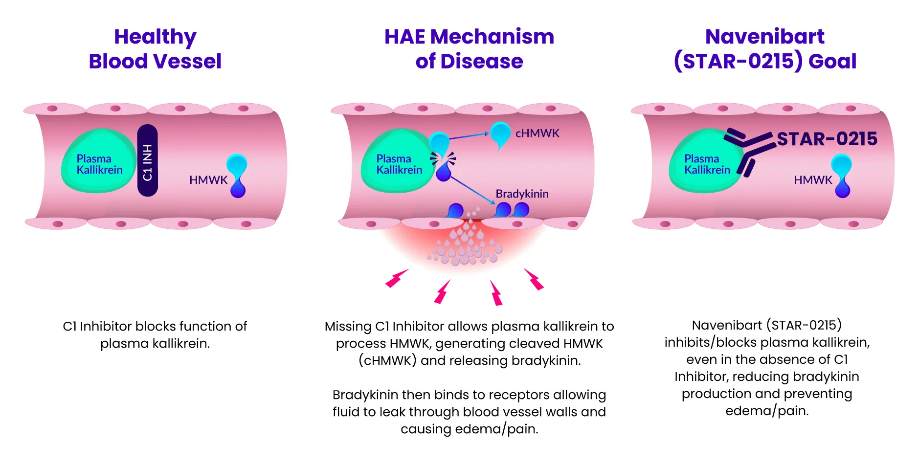 STAR-0215 Mechanism of Action